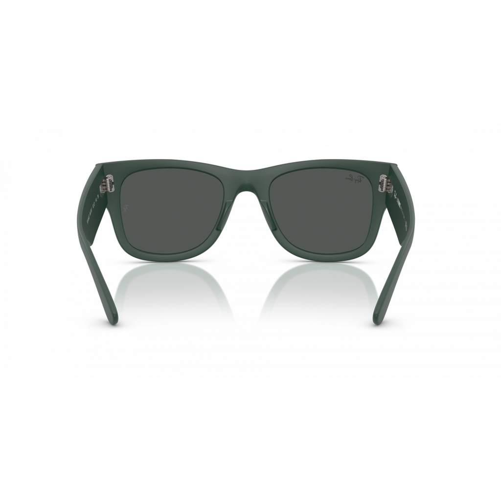 RayBan - Occhiali da sole - RB 4840-S 6657 87
